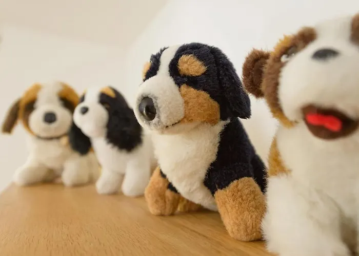 Апартаменты Casa Della By Premium