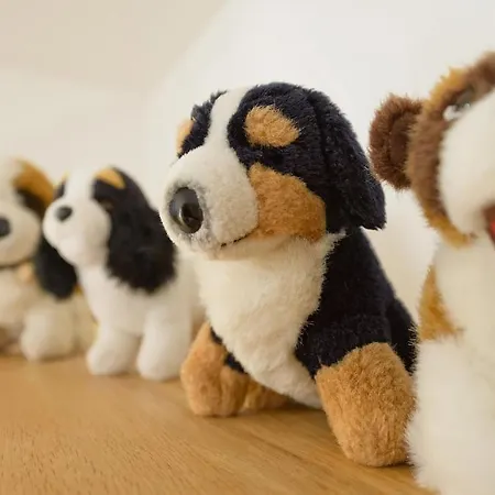 Appartamento Casa Della By Premium