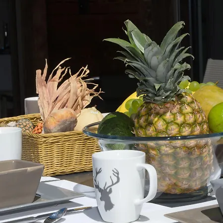 Casa Della By Premium アパート ツェルマット